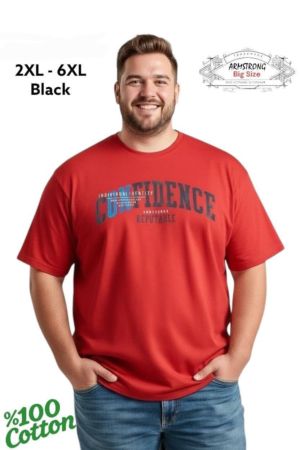 Мъжка тениска в големи размери с щампа 28 000043